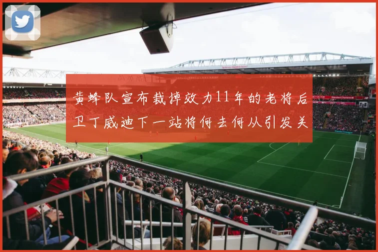 黄蜂队宣布裁掉效力11年的老将后卫丁威迪下一站将何去何从引发关注