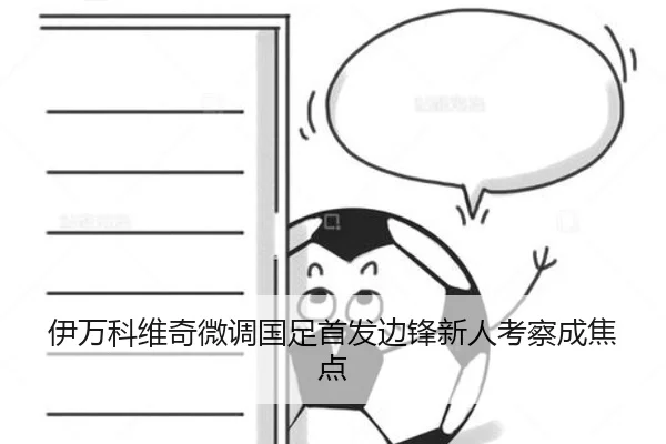 伊万科维奇微调国足首发边锋新人考察成焦点（LDSPORTS）